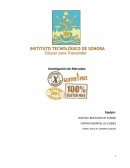 Investigacion de mercado reseña