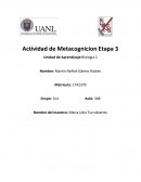 Cual es la Actividad de Meta