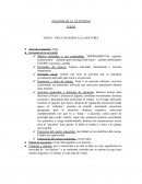 ANÁLISIS DE LA ACTIVIDAD - VIDEO NENA JUGANDO A LA DOCTORA