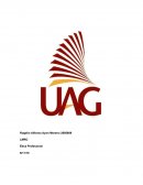 LMRC Ética Profesional