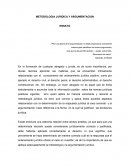 METODOLOGIA JURIDICA Y ARGUMENTACION