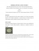 Dimerización del Ácido Cinamico