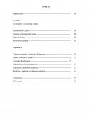 Cultura y educacion. El concepto y los tipos de Cultura