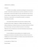 Los atributos son las cualidades y características que distinguen las cosas que existen en el mundo