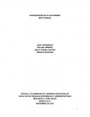 Este trabajo se realiza como método de aprendizaje acerca del mercadeo de servicios, en el cual se plantea crear un servicio innovador, con todos lo requerimientos para su funcionalidad.