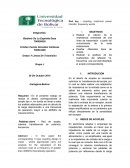Informe lineas transmision
