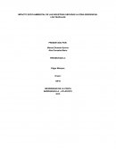 IMPACTO SOCIO-AMBIENTAL DE LAS INDUSTRIAS UBICADAS LA ZONA RESIDENCIAL LOS TRUPILLOS