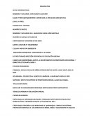 EJEMPLO DE HOJA DE VIDA.