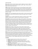 Ensayo sobre los tipos de bulliying