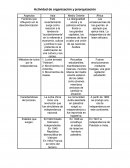 Actividad de organización y jerarquización