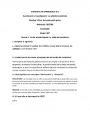 Cuestionario e investigación: La caída del socialismo