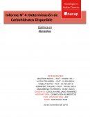 Informe de práctica de Química.