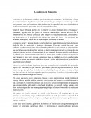 Ensayo sobre la pobreza en Honduras.