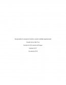Gestión de la Prevención de Riesgos . Peter Drucker Tom Peters Williams Ouchi Edwards Deming Philip Crosby