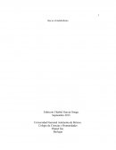 Qué es el metabolismo.