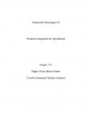 Desarrollo Psicológico: Caso Segunda infancia