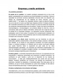 Empresa y medio ambiente Un problema planetario