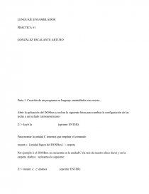 Parte 1. Creación de un programa en lenguaje ensamblador sin errores.. Página 1