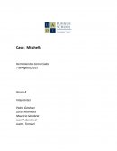 Caso: Mitchells