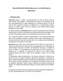 Tasa de filtracion en Brachionus