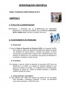 Caso: Consorcio textil Vianny S.A.C.