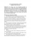 GUIA DE TRABAJO DE CAMPO GERENCIA DE VENTAS