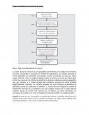 Cuales son las Etapas del diseño de los territorios de ventas