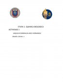 CAMINANDO SOBRE EL AGUA