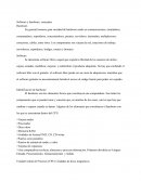 Software y hardware, conceptos