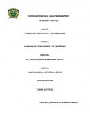 TEORIAS DE TERAPIA BREVE Y DE EMERGENCIA