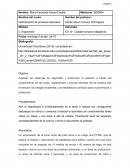 Capital humano trabajando