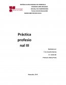 En el presente trabajo expreso las experiencias reales del desarrollo de mis prácticas docente en el Centro Educativo Balmiro León