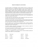 Reporte de las bodegas de la central de abastos