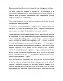 Comentario del video: Entrevista a Howard Gardner- Inteligencias múltiples-