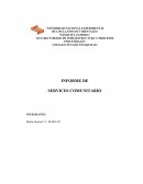 INFORME DE SERVICIO COMUNITARIO