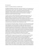 Plan Quinquenal: Basado en una política económica y una política social