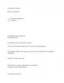 Auditoria interna de una empresa