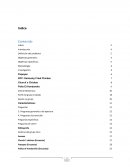 Restaurantes Diseño de Investigación Cualitativa