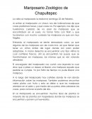 Mariposario zoologico de chapultepec