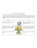 DIVERSOS ÓRDENES NORMATIVOS COMO REALIDAD SOCIAL