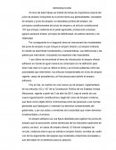 Antecedentes del Amparo Adhesivo