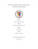 Ensayo crítico de contrato social