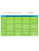 Acerca de algunas culturas institucionales