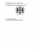 Caso de Marketing: Planeación estratégica