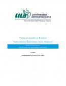 Inteligencia emocional en el trabajo. Materia: Inteligencia emocional