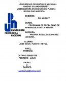 PROGRAMA DE PROBLEMAS DE APRENDIZAJE DE LA REGION