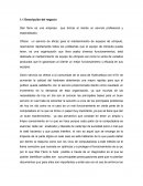 DESCRIPCION DEL NEGOCIO DE UNA MICROEMPRESA