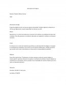 Descripción del negocio un centro de excelencia