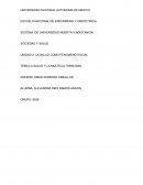 LA SALUD Y LA MULTICULTURALIDAD