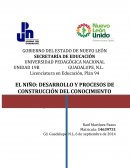 EL NIÑO: DESARROLLO Y PROCESOS DE CONSTRUCCIÓN DEL CONOCIMIENTO